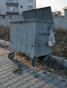 Heavy Dumpster Waste Hauling & Disposal