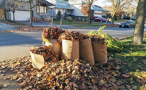 Rio Communites Yard Waste Removal | Best Mattress Pickup