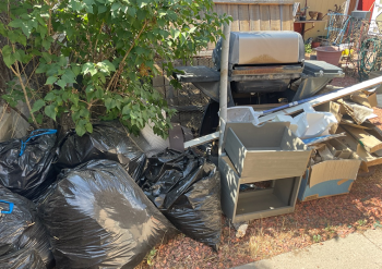 Trash Removal in Albuquerque, NM